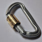 Carabiner - Suisse